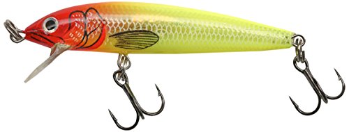 Rapala Husky Jerk 06, Glass Minnow product photo from Amazon