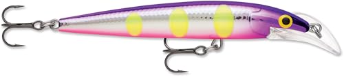 Rapala Scatter Rap Deep Husky Jerk, 4 inch, Voodoo Haze product photo from Amazon